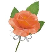 ���������� �ߥ˥Х� �����