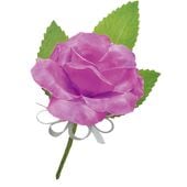 ���������� �ߥ˥Х� �ѡ��ץ�