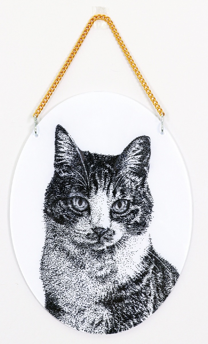 �ڥ������������ȥ�������ܡ���