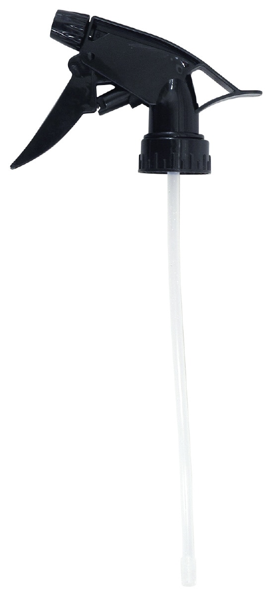 ���ץ졼�إåɥ��󥿥��� ��