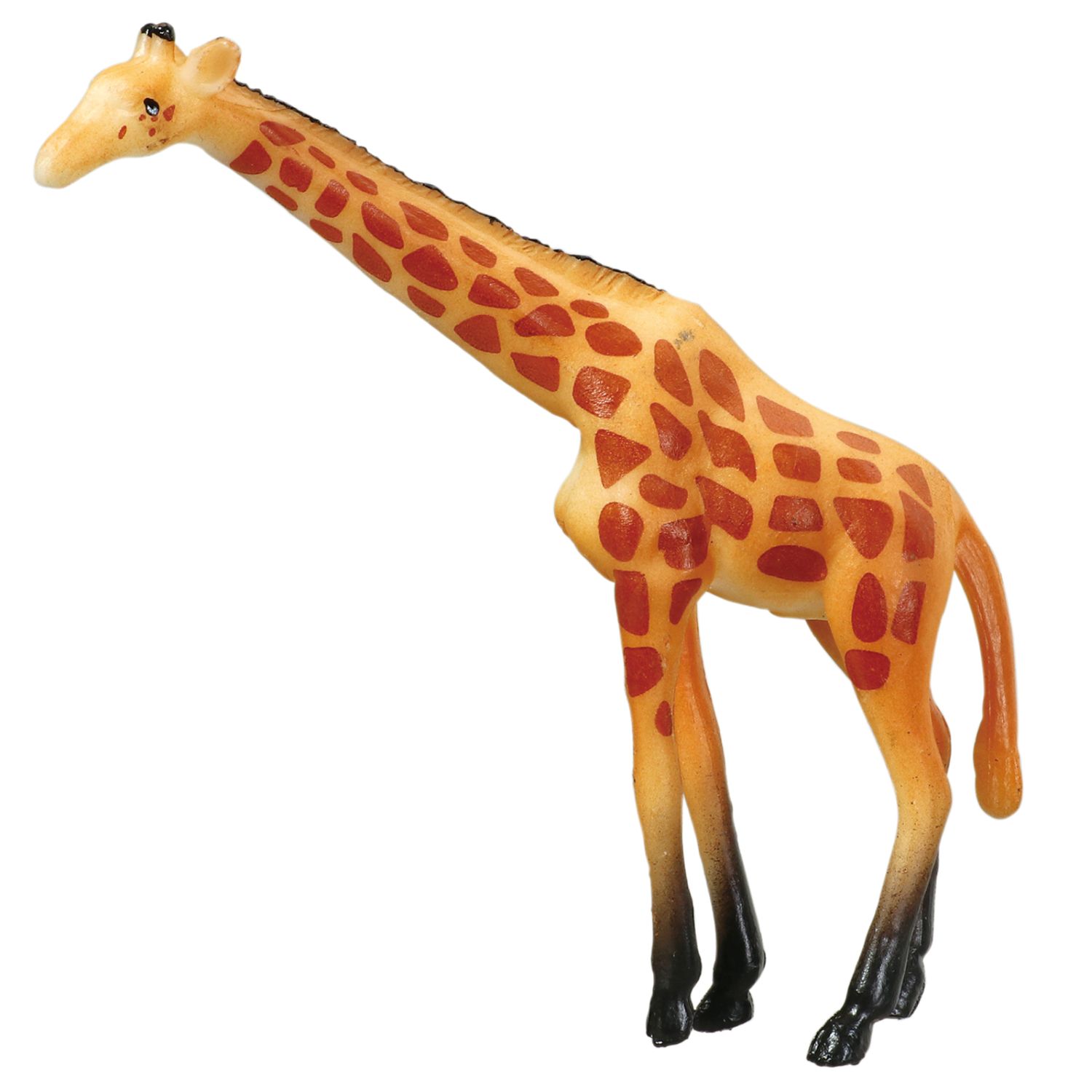 ���˥ޥ�ե����奢12�Υ��å�