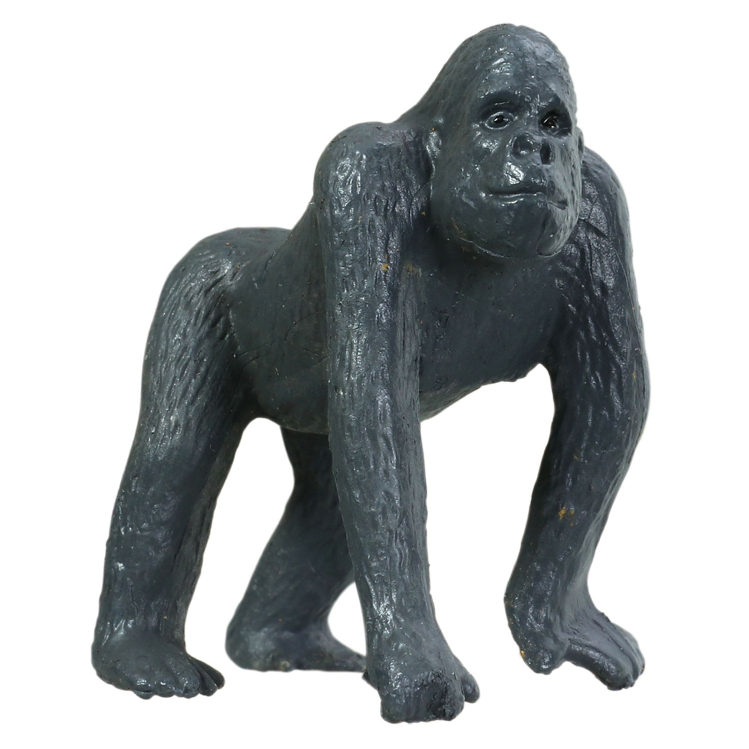 ���˥ޥ�ե����奢12�Υ��å�