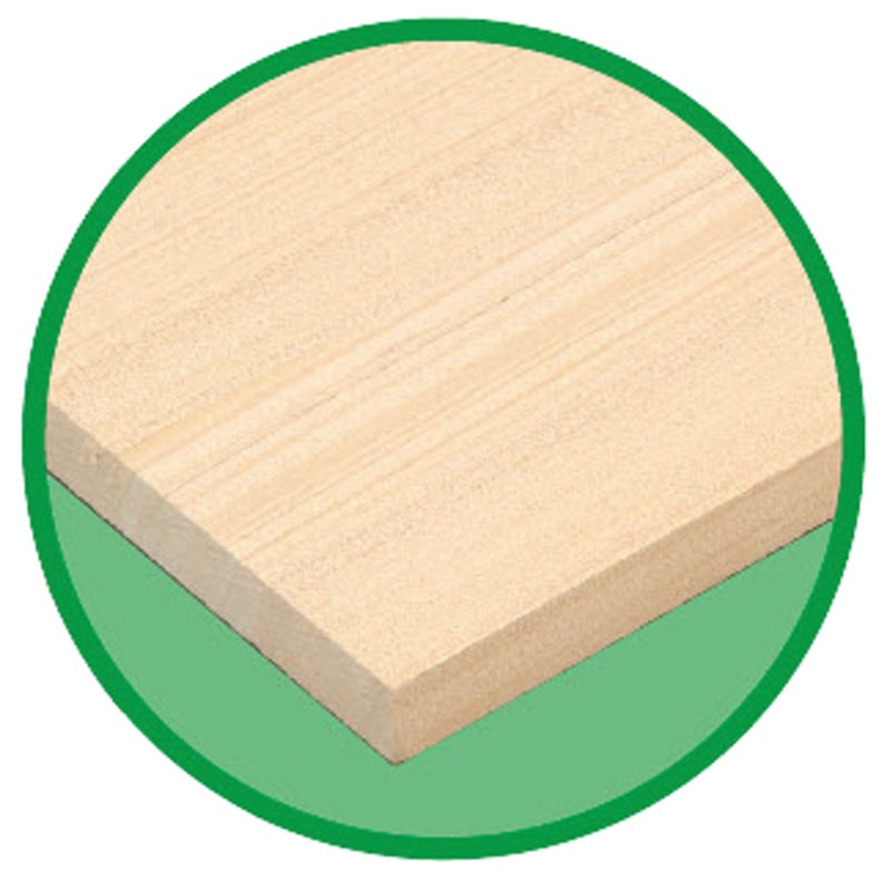 創作木工1m アガチス1000×210×12mm | 教育用品/おもちゃ,教育教材用品