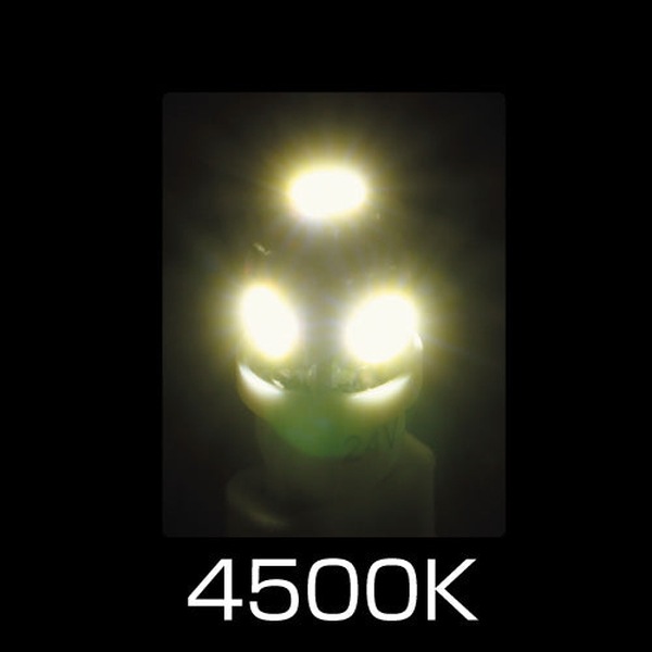 LED T10�����å��Х�� LA-004 �ۥ磻�� 529161