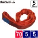 Ȣ5ܡ饦ɥ 70mm Ĺ5m