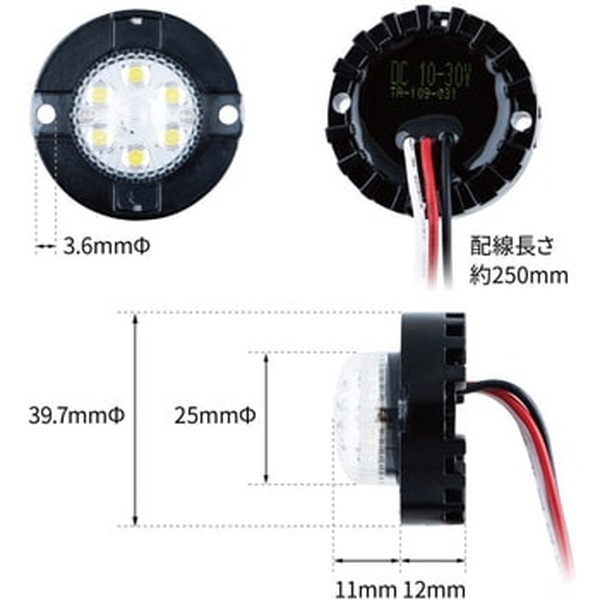 LED�ݥߥ˥��ȥ��� 12V/24V���� LED�� ����С� 534792