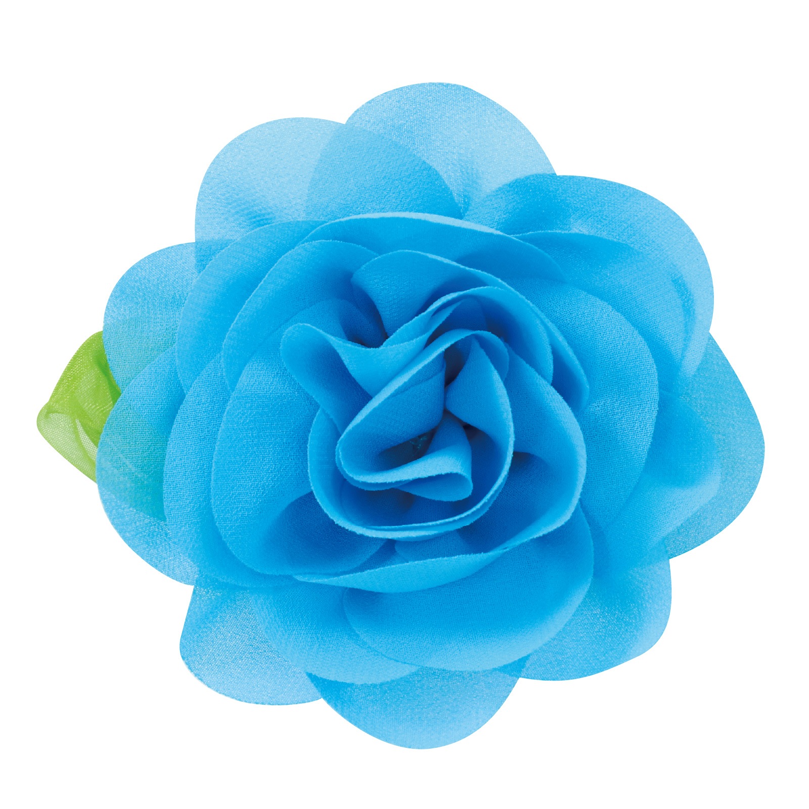 ����������Хå� �֥롼