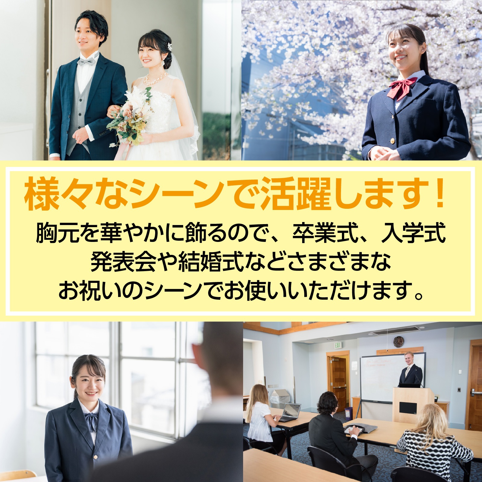 ����������Хå� �֥롼