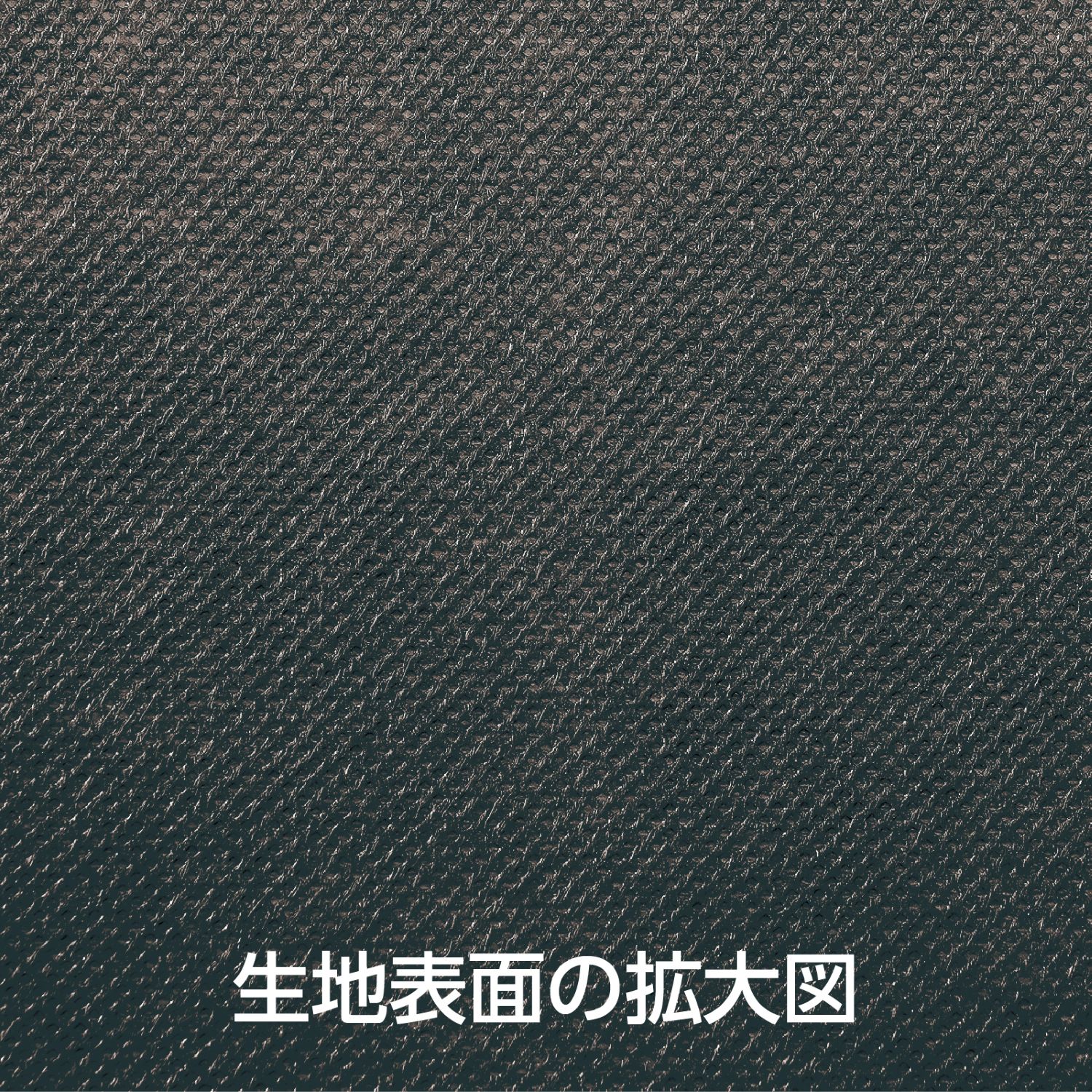 ���顼�Կ��ۥ����� �� 5m����