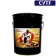 �ޤ�Ƥ�CVT�ե롼��20L  CVTF