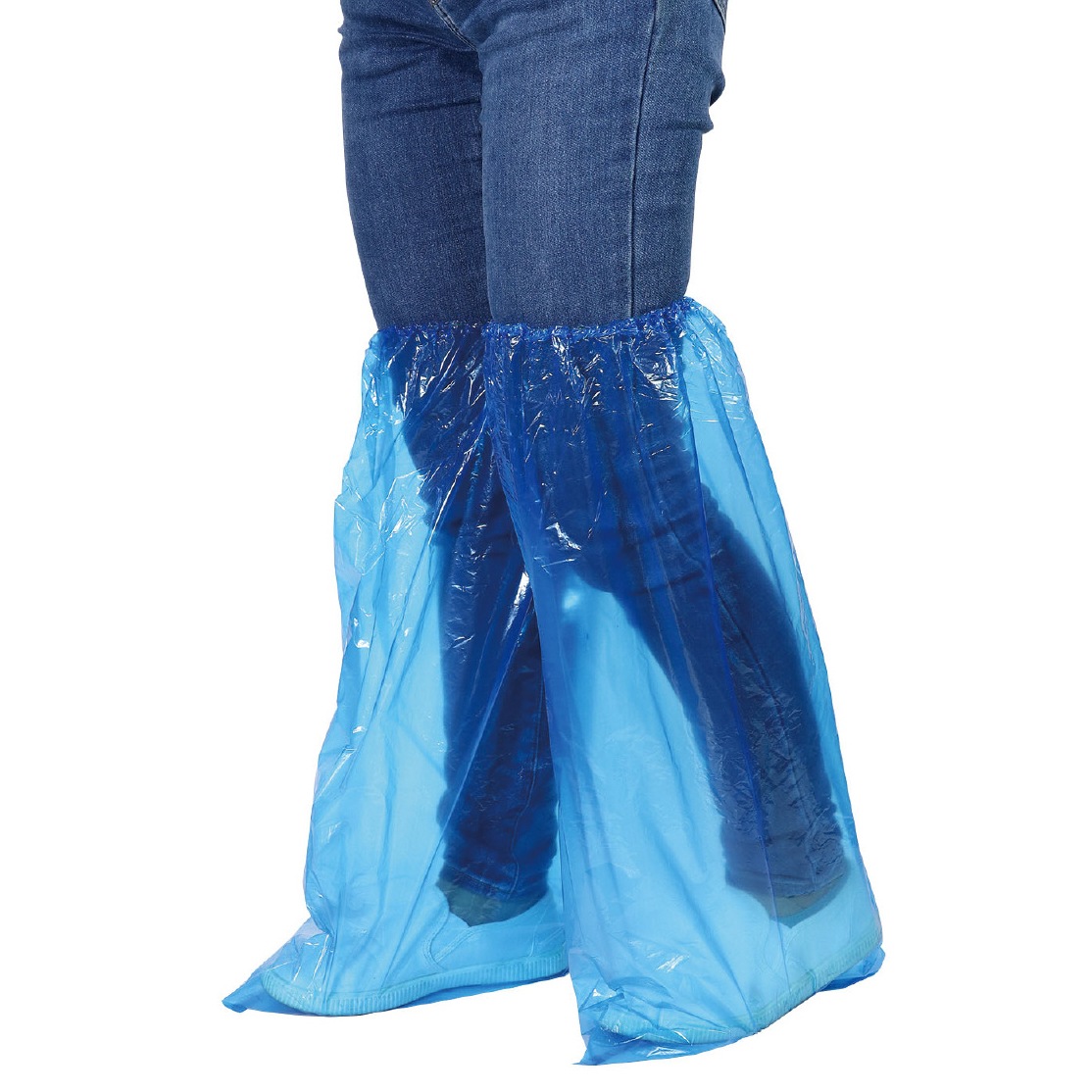 �ɸ��� �����ݸ�5�����å� S������