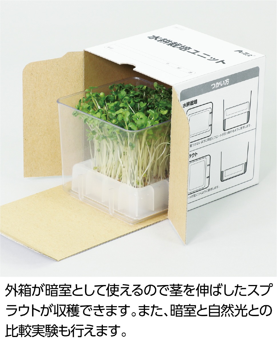 〔10個セット〕 ARTEC 水耕栽培ユニット ブロッコリースプラウト ATC102969X10 アーテック 水耕栽培でブロッコリースプラウトを育てよう