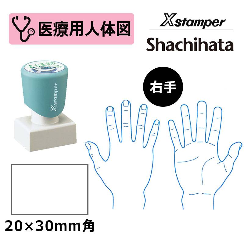 【シヤチハタ】医療用人体図（右手） Xスタンパー 角型印 2030号 ( 印面サイズ:20×30mm )  医療・病院・看護師・ナース・整体師 はんこ スタンプ