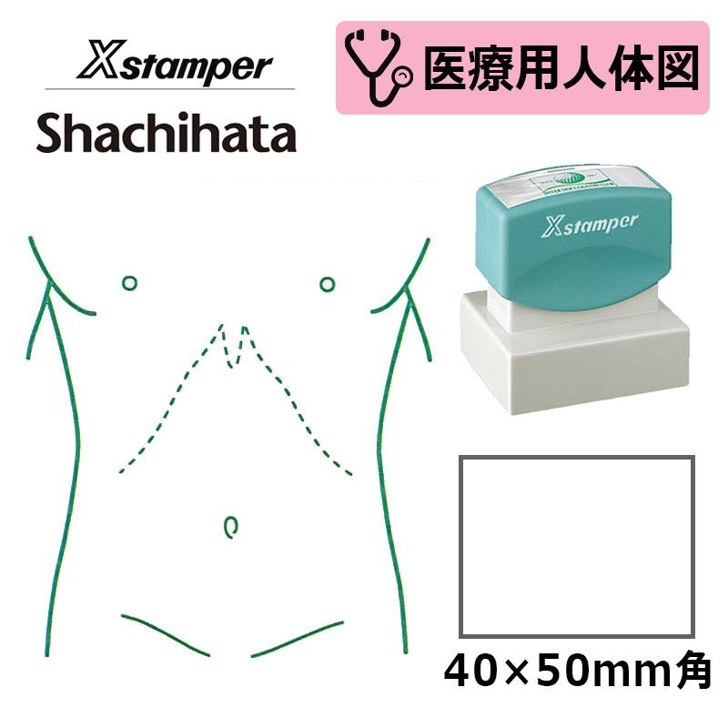 【シヤチハタ】医療用人体図（胴体） Xスタンパー 角型印 4050号 ( 印面サイズ:40×50mm )  医療・病院・看護師・ナース・整体師 はんこ スタンプ