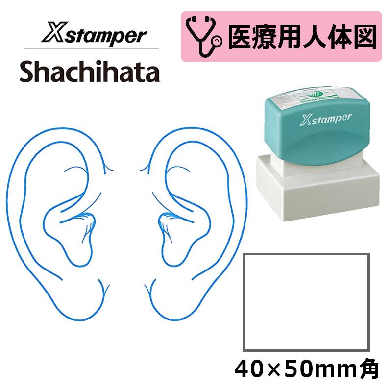 【シヤチハタ】医療用人体図（耳） Xスタンパー 角型印 4050号 ( 印面サイズ:40×50mm )  医療・病院・看護師・ナース・整体師 はんこ スタンプ