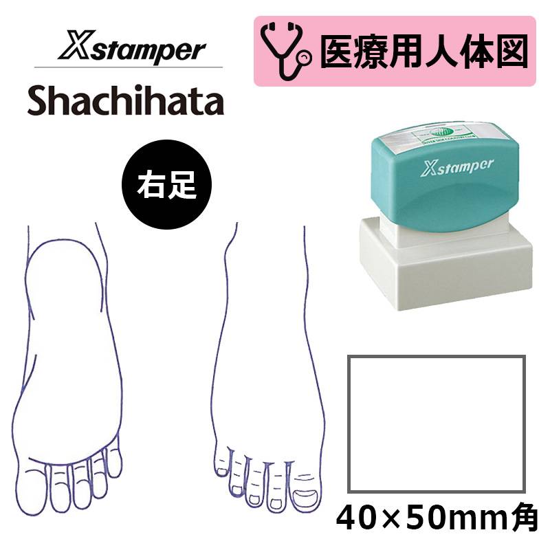 【シヤチハタ】医療用人体図（右足） Xスタンパー 角型印 4050号 ( 印面サイズ:40×50mm )  医療・病院・看護師・ナース・整体師 はんこ スタンプ