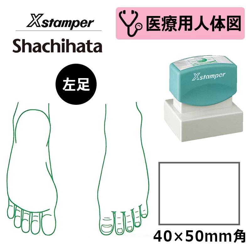 【シヤチハタ】医療用人体図（左足） Xスタンパー 角型印 4050号 ( 印面サイズ:40×50mm )  医療・病院・看護師・ナース・整体師 はんこ スタンプ