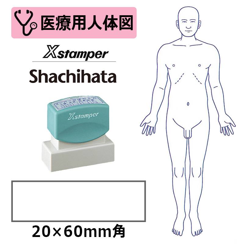 【シヤチハタ】医療用人体図 全身（男性正面） Xスタンパー 角型印 2060号 ( 印面サイズ:20×60mm )  医療・病院・看護師・ナース・整体師 はんこ スタンプ