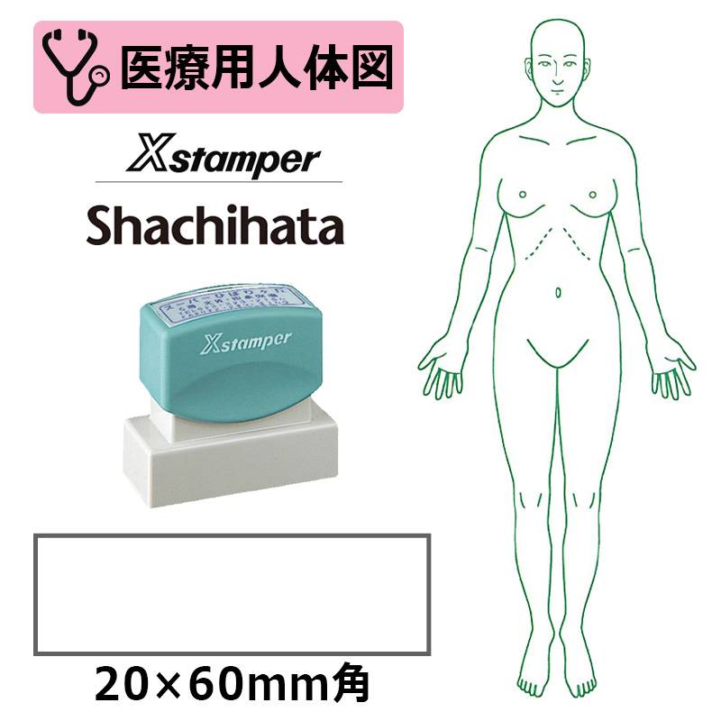 【シヤチハタ】医療用人体図 全身（女性正面） Xスタンパー 角型印 2060号 ( 印面サイズ:20×60mm )  医療・病院・看護師・ナース・整体師 はんこ スタンプ