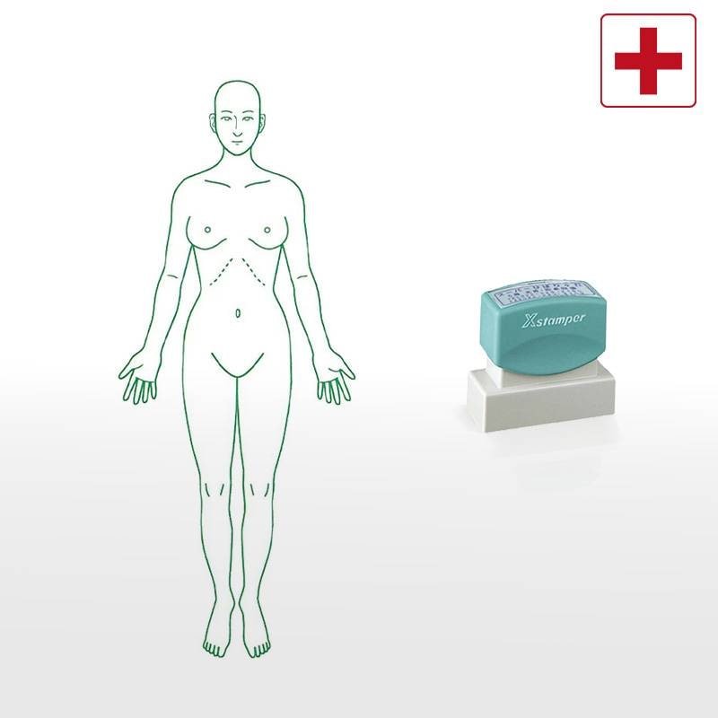 【シヤチハタ】医療用人体図 全身（女性正面） Xスタンパー 角型印 2060号 ( 印面サイズ:20×60mm )  医療・病院・看護師・ナース・整体師 はんこ スタンプ