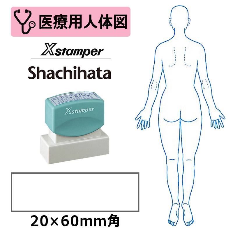 【シヤチハタ】医療用人体図 全身（女性背面） Xスタンパー 角型印 2060号 ( 印面サイズ:20×60mm )  医療・病院・看護師・ナース・整体師 はんこ スタンプ