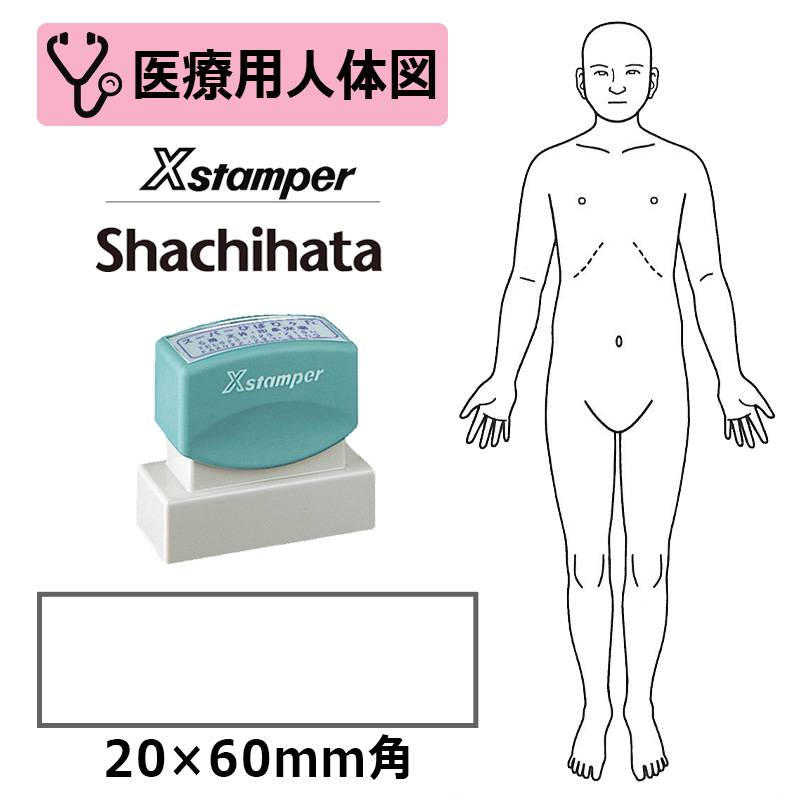 【シヤチハタ】医療用人体図 全身（正面） Xスタンパー 角型印 2060号 ( 印面サイズ:20×60mm )  医療・病院・看護師・ナース・整体師 はんこ スタンプ
