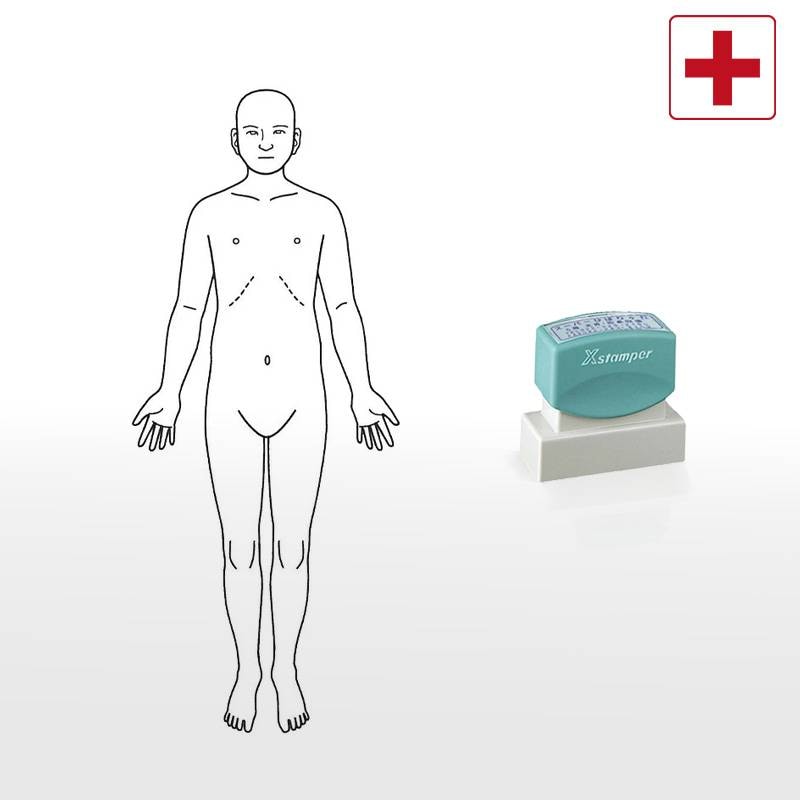 【シヤチハタ】医療用人体図 全身（正面） Xスタンパー 角型印 2060号 ( 印面サイズ:20×60mm )  医療・病院・看護師・ナース・整体師 はんこ スタンプ