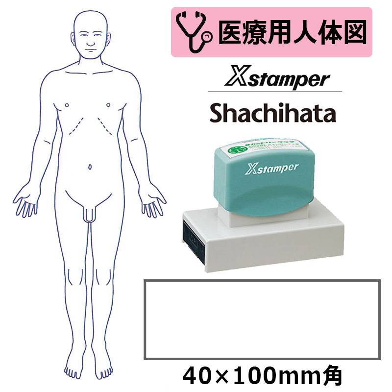 【シヤチハタ】医療用人体図 全身（男性正面） Xスタンパー 角型印 40100号 ( 印面サイズ:40×100mm ) 医療・病院・看護師・ナース・整体師 はんこ スタンプ