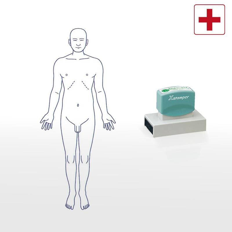 【シヤチハタ】医療用人体図 全身（男性正面） Xスタンパー 角型印 40100号 ( 印面サイズ:40×100mm ) 医療・病院・看護師・ナース・整体師 はんこ スタンプ