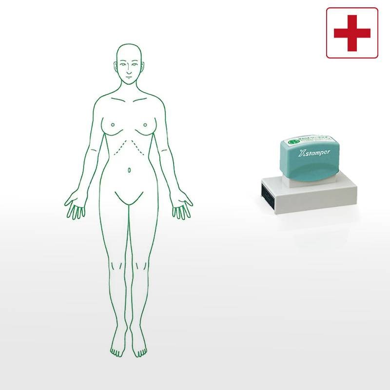 【シヤチハタ】医療用人体図 全身（女性正面） Xスタンパー 角型印 40100号 ( 印面サイズ:40×100mm ) 医療・病院・看護師・ナース・整体師 はんこ スタンプ