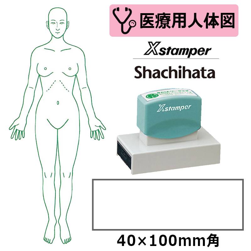 【シヤチハタ】医療用人体図 全身（女性正面） Xスタンパー 角型印 40100号 ( 印面サイズ:40×100mm ) 医療・病院・看護師・ナース・整体師 はんこ スタンプ