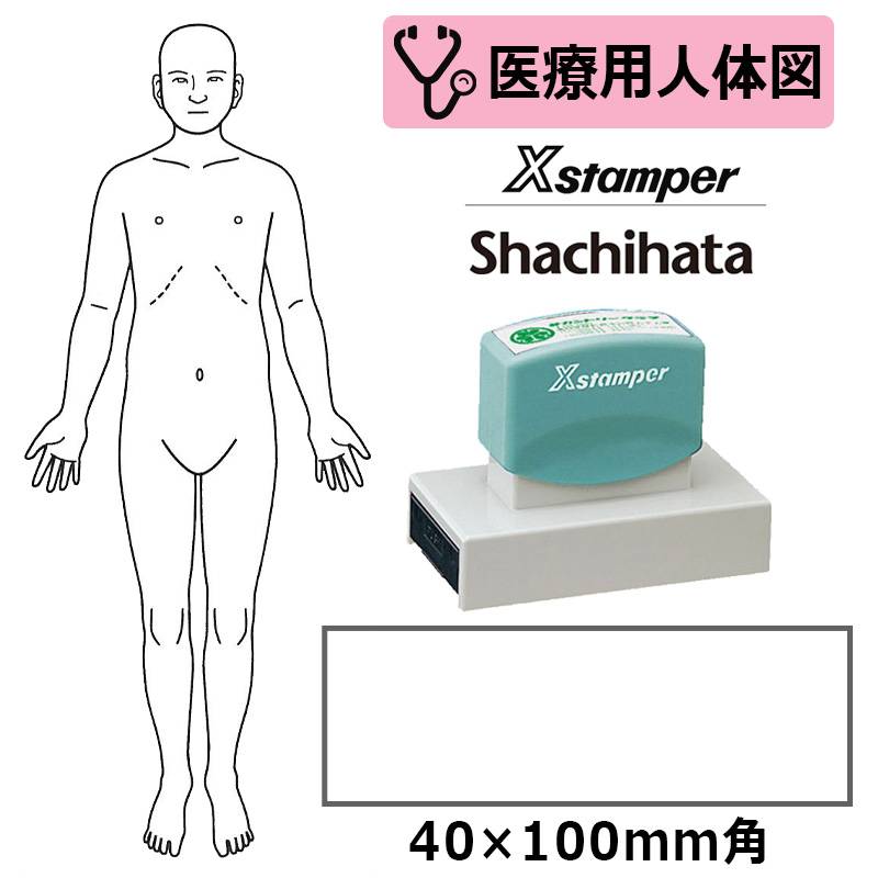 【シヤチハタ】医療用人体図 全身（正面） Xスタンパー 角型印 40100号 ( 印面サイズ:40×100mm ) 医療・病院・看護師・ナース・整体師 はんこ スタンプ