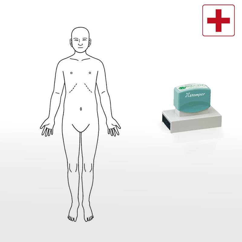 【シヤチハタ】医療用人体図 全身（正面） Xスタンパー 角型印 40100号 ( 印面サイズ:40×100mm ) 医療・病院・看護師・ナース・整体師 はんこ スタンプ