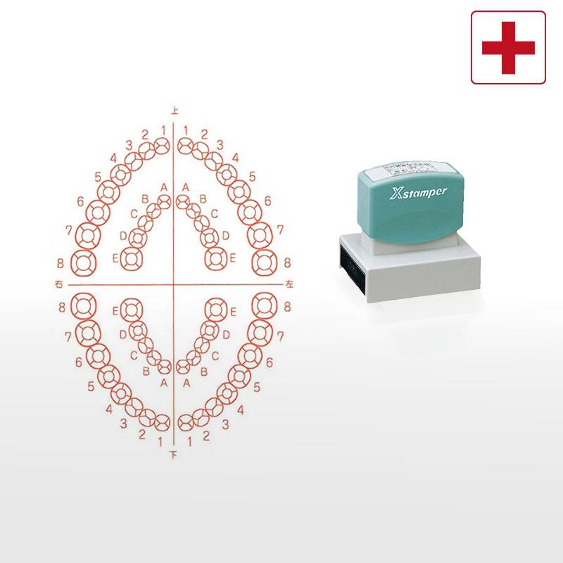 【シヤチハタ】医療用人体図（歯2） Xスタンパー 角型印 5075号 ( 印面サイズ:50×75mm )医療・病院・看護師・ナース・歯科医 はんこ スタンプ