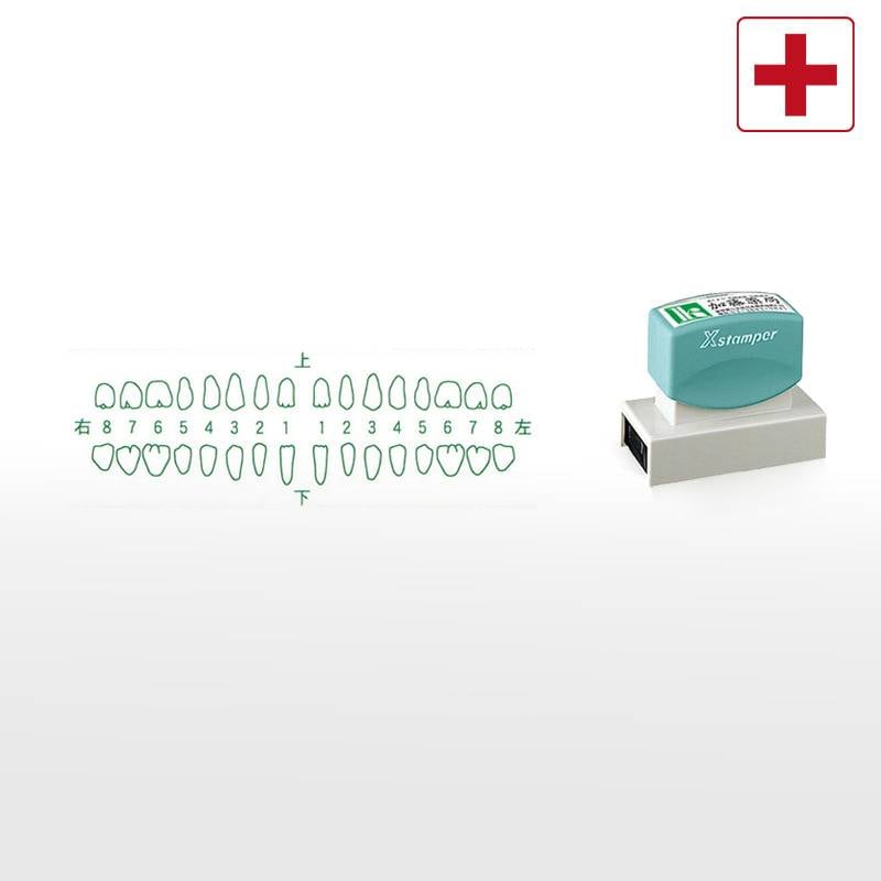 【シヤチハタ】医療用人体図（歯3） Xスタンパー 角型印 2471号 ( 印面サイズ:24×71mm )医療・病院・看護師・ナース・歯科医 はんこ スタンプ