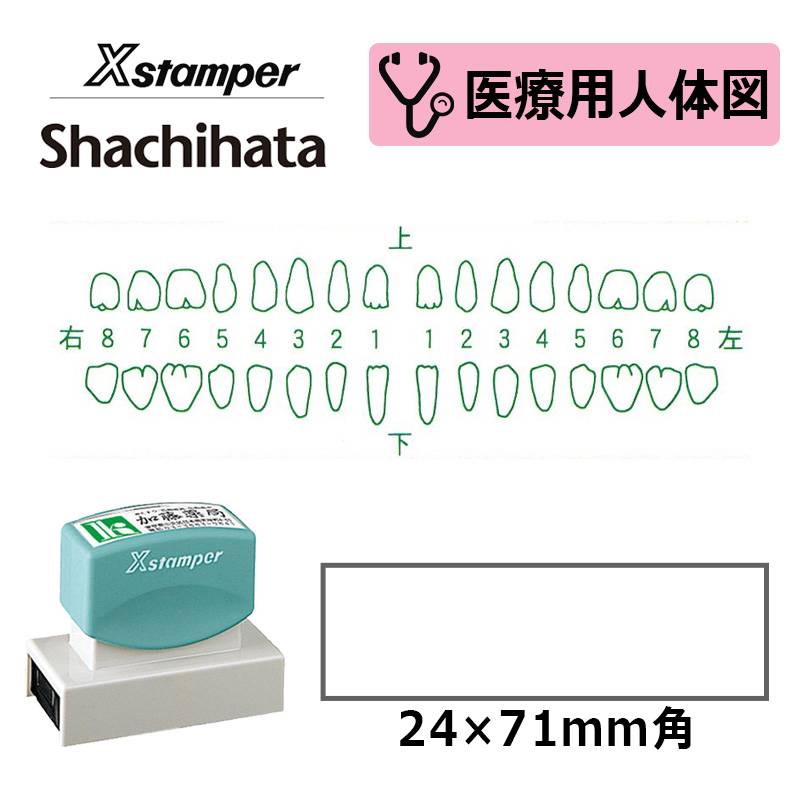 【シヤチハタ】医療用人体図（歯3） Xスタンパー 角型印 2471号 ( 印面サイズ:24×71mm )医療・病院・看護師・ナース・歯科医 はんこ スタンプ