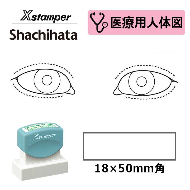 【シヤチハタ】医療用人体図（眼2） Xスタンパー 角型印 1850号 ( 印面サイズ:18×50mm )医療・病院・看護師・ナース・歯科医 はんこ スタンプ