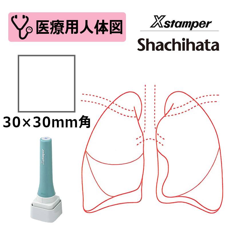 【シヤチハタ】医療用人体図（肺） Xスタンパー 角型印 特角30号 3030号 ( 印面サイズ:30×30mm )医療・病院・看護師・ナース はんこ スタンプ