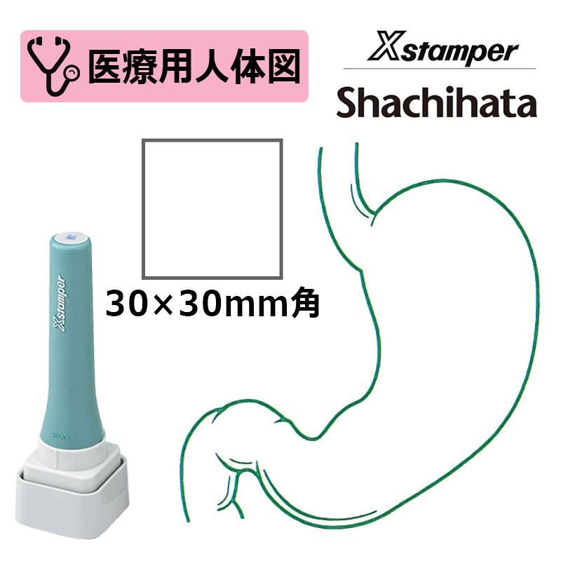 【シヤチハタ】医療用人体図（胃） Xスタンパー 角型印 特角30号 3030号 ( 印面サイズ:30×30mm )医療・病院・看護師・ナース はんこ スタンプ