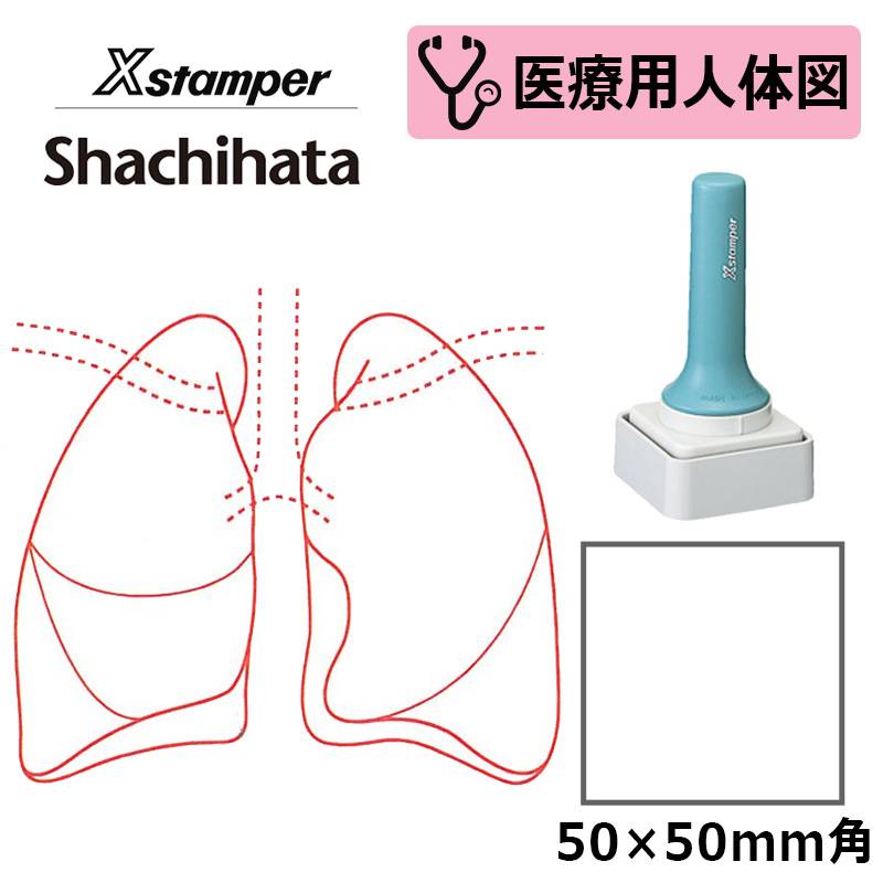 【シヤチハタ】医療用人体図（肺） Xスタンパー 角型印 特角50号 5050号 ( 印面サイズ:50×50mm )医療・病院・看護師・ナース はんこ スタンプ