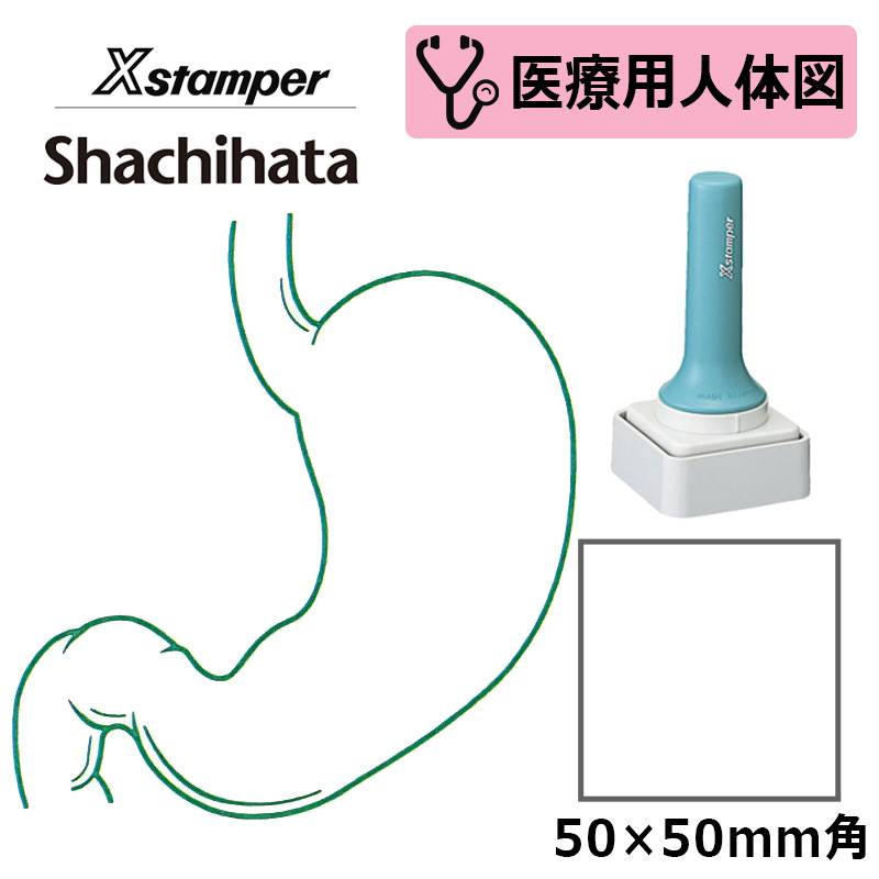 【シヤチハタ】医療用人体図（胃） Xスタンパー 角型印 特角50号 5050号 ( 印面サイズ:50×50mm )医療・病院・看護師・ナース はんこ スタンプ