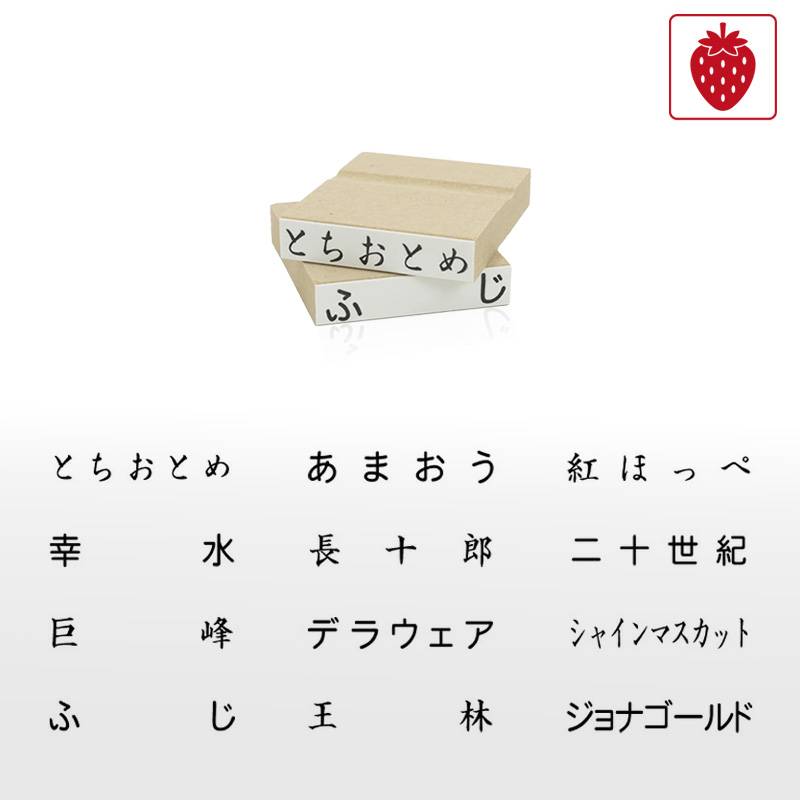 果物品種表示用スタンプ ゴム印 角型印（印面サイズ：10×45mm）果樹/いちご/梨/ぶどう/りんご/みかん/メロン/すいか/バナナ/キウイ/桃