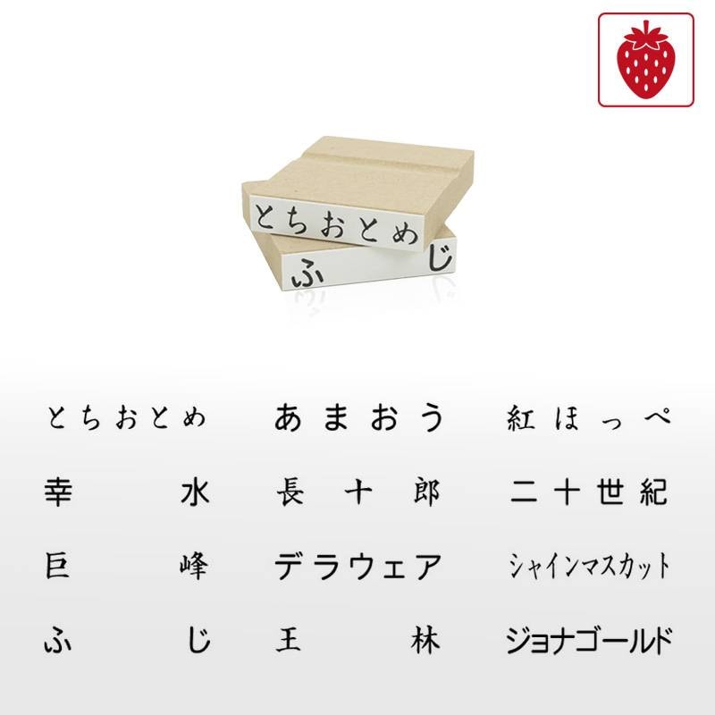 果物品種表示用スタンプ ゴム印 角型印(印面サイズ:10×45mm)果樹/いちご/梨/ぶどう/りんご/みかん/メロン/すいか/バナナ/キウイ/桃