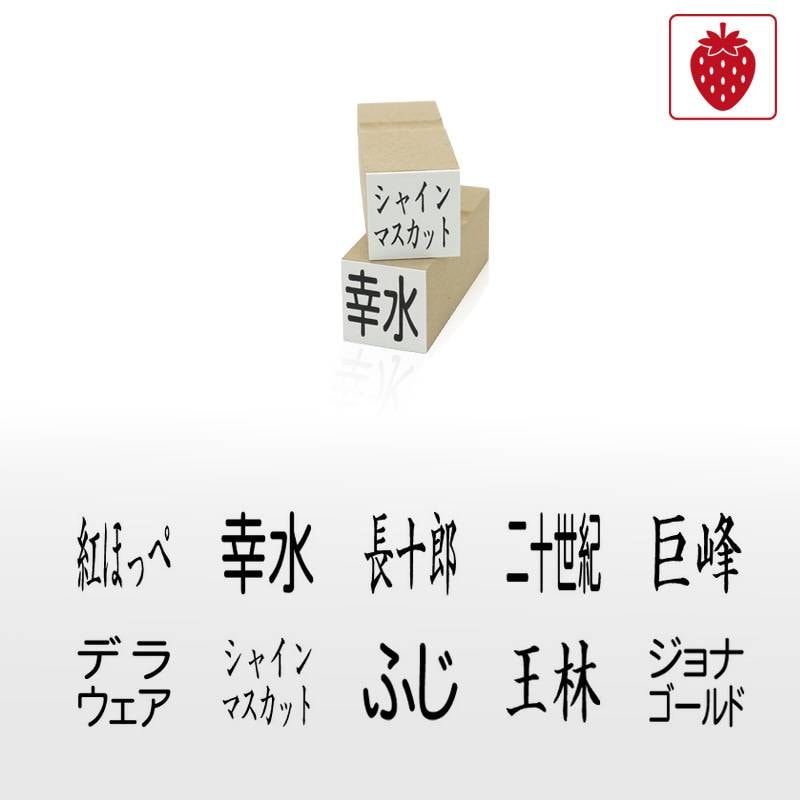 果物品種表示用スタンプ ゴム印 角型印（印面サイズ：20×20mm）果樹/いちご/梨/ぶどう/りんご/みかん/メロン/すいか/バナナ/キウイ/桃