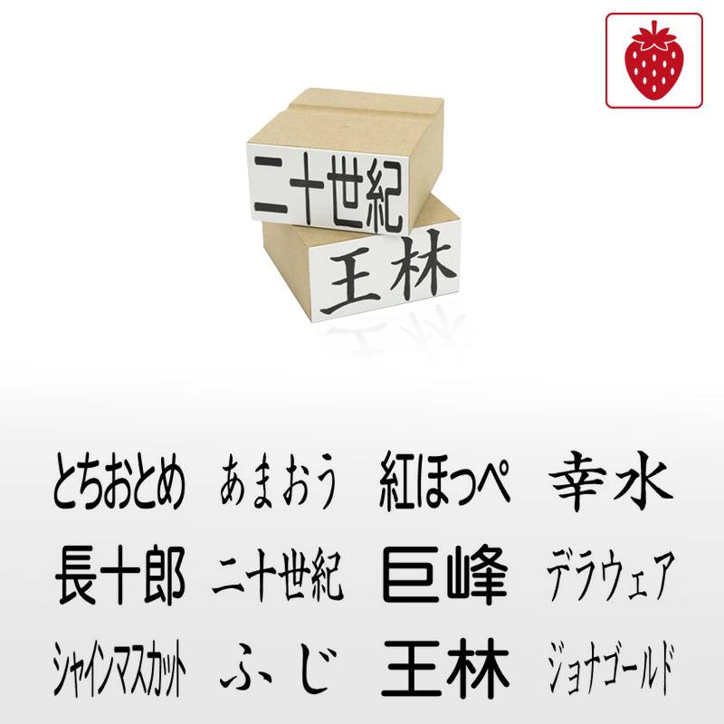 果物品種表示用スタンプ ゴム印 角型印（印面サイズ：26×50mm）果樹/いちご/梨/ぶどう/りんご/みかん/メロン/すいか/バナナ/キウイ/桃