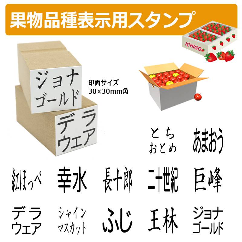 果物品種表示用スタンプ ゴム印 角型印（印面サイズ：30×30mm）果樹/いちご/梨/ぶどう/りんご/みかん/メロン/すいか/バナナ/キウイ/桃