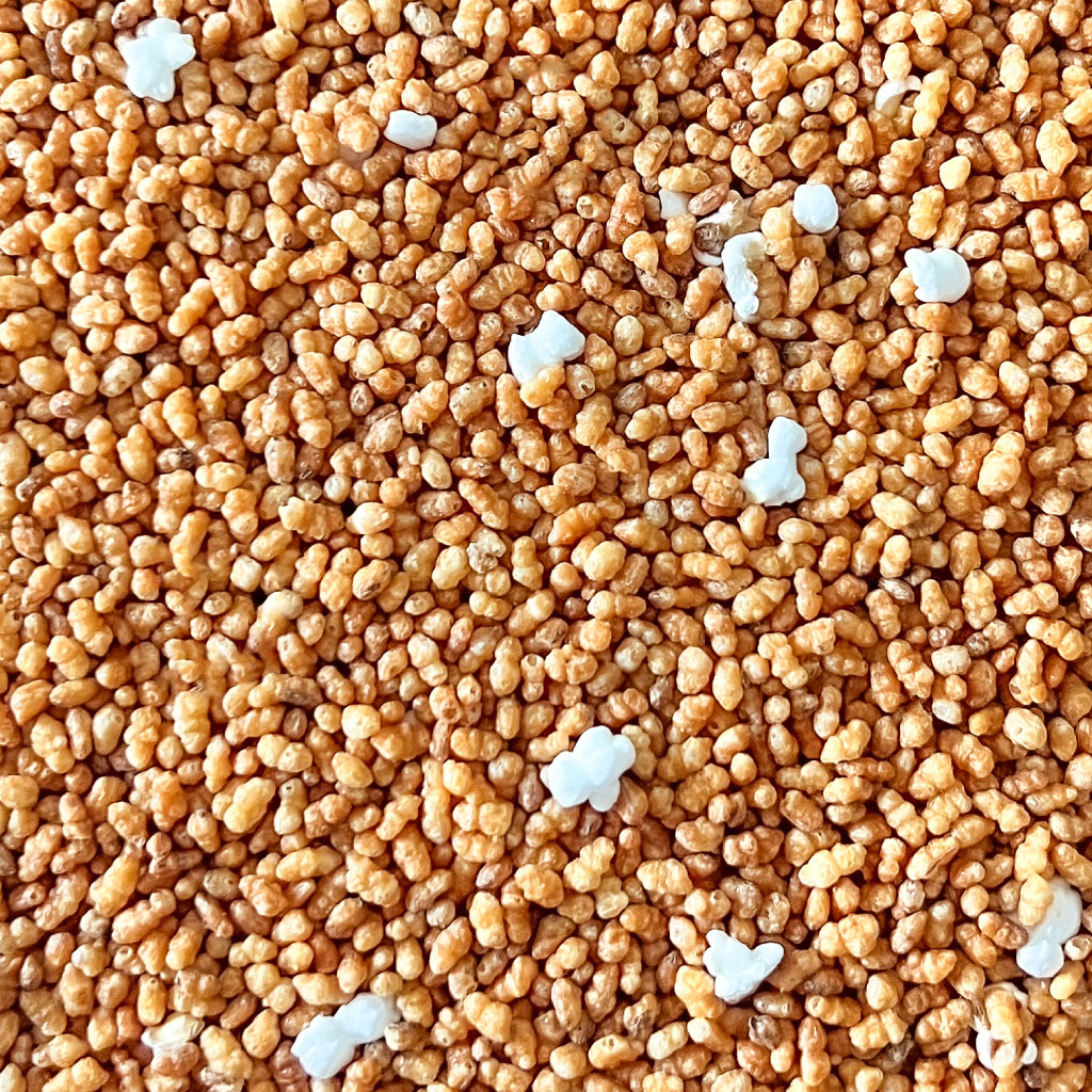 並玄米 50kg - 業務用茶.com