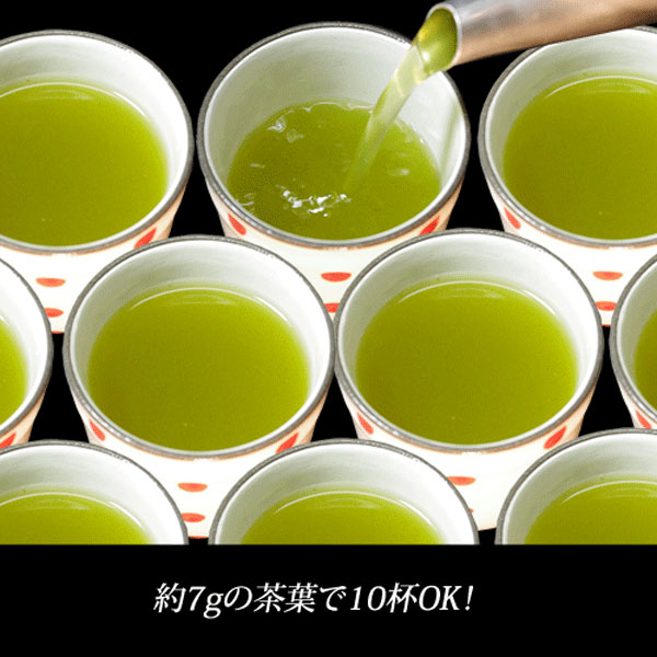 煎茶20号 50kg - 業務用茶.com