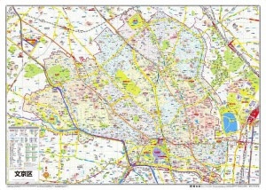 ����Զ�ʬ�Ͽ� ʸ����