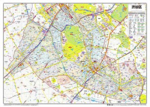 ����Զ�ʬ�Ͽ� ��ë��